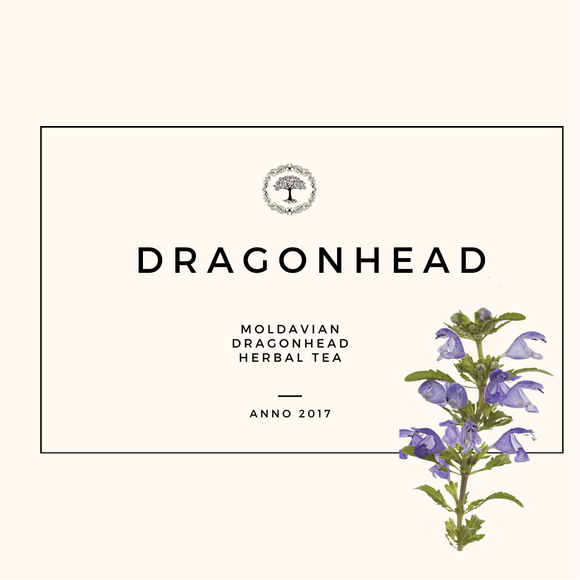 DRAGONHEAD  yrttitee